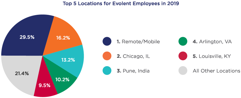 pie chart showing where geographically employees are lcoated 