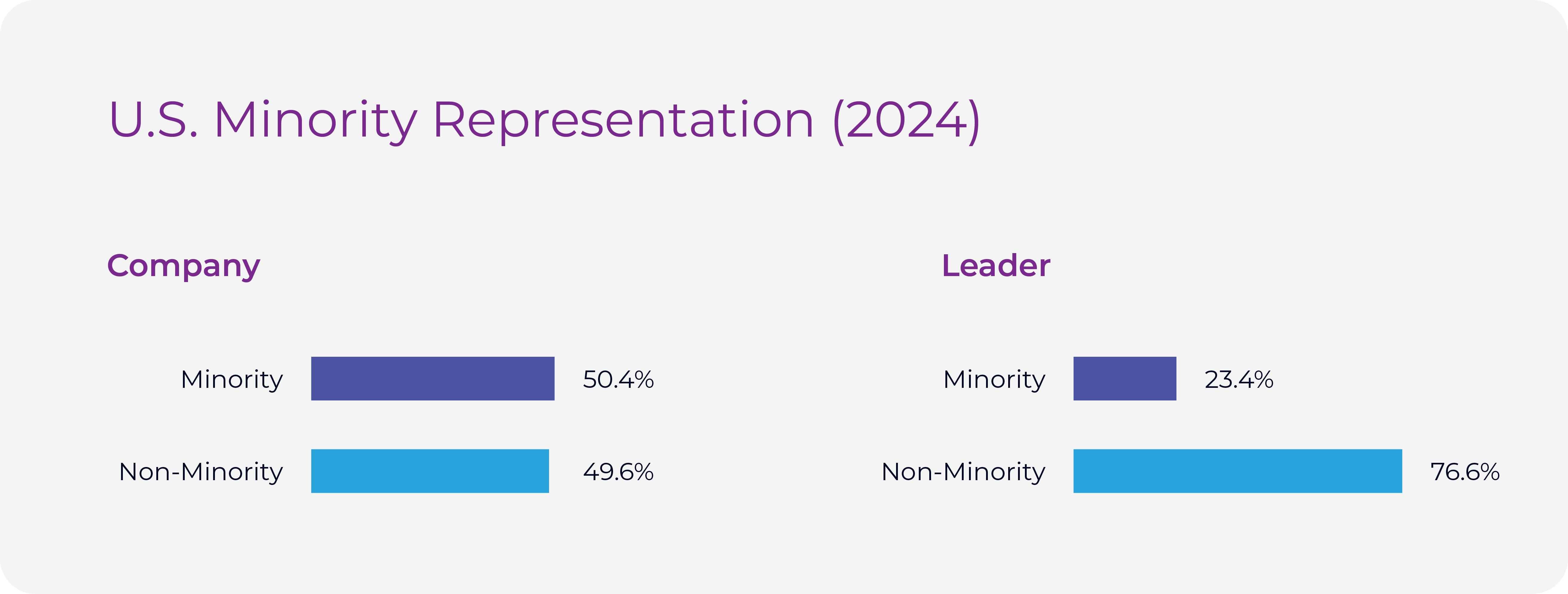 2024 Inclusion Report_US Minority Representation