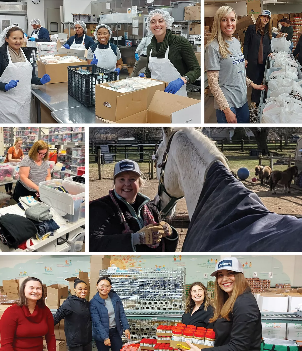 Collage of employees doing different volunteer work 